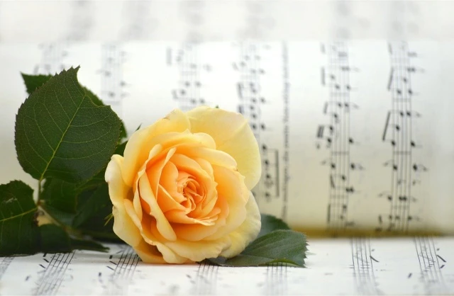 Partitura musical con diseño floral, representando el repertorio elegante de Melodival para bodas y eventos