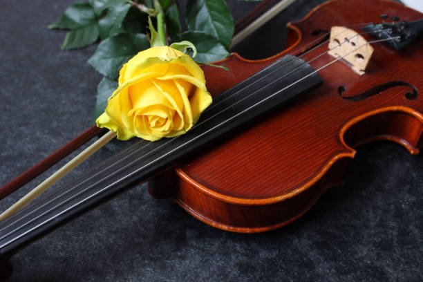 Violín acompañado de una rosa amarilla, simbolizando la armonía y la calidez de la música en vivo para bodas y eventos especiales