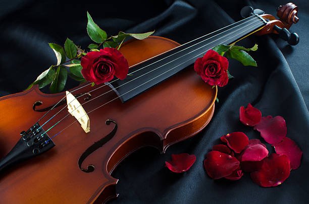 Violín acompañado de una rosa, simbolizando la elegancia y el romanticismo de la música en vivo para bodas y eventos especiales
