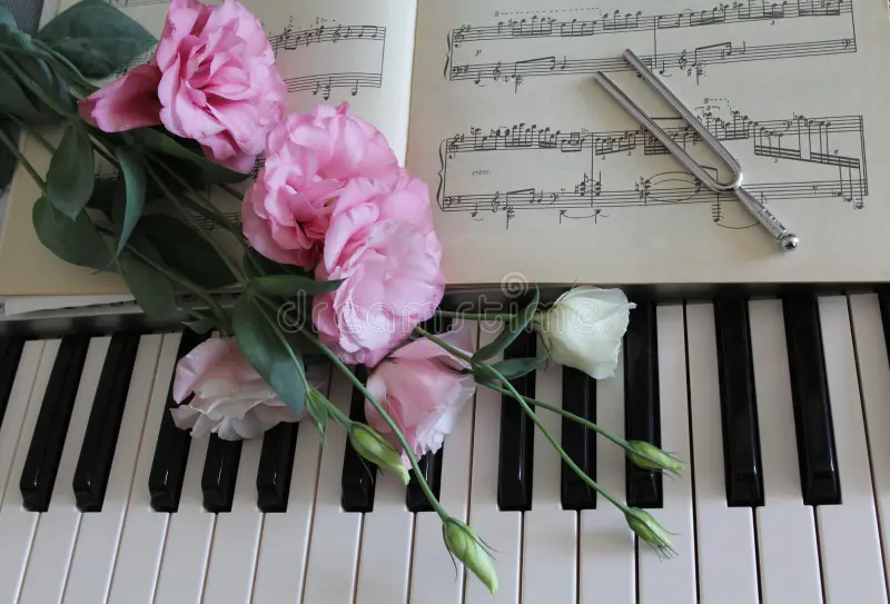 Rosas rosadas sobre un piano, simbolizando la elegancia y el romanticismo de la música en vivo para bodas y eventos especiales